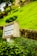A weathered signpost labeled 'RAMPA DA GUIA' is surrounded by lush greenery, with a well-maintained lawn and hedges occupying much of the background. The scene includes a stone wall and partial view of trees, suggesting a serene outdoor setting.