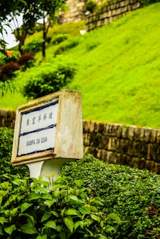A weathered signpost labeled 'RAMPA DA GUIA' is surrounded by lush greenery, with a well-maintained lawn and hedges occupying much of the background. The scene includes a stone wall and partial view of trees, suggesting a serene outdoor setting.