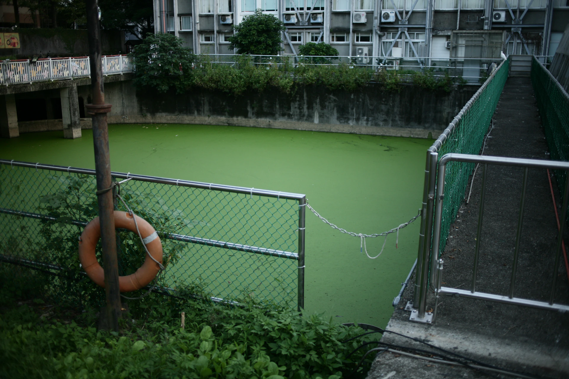 a green pool with a chain link fence around it