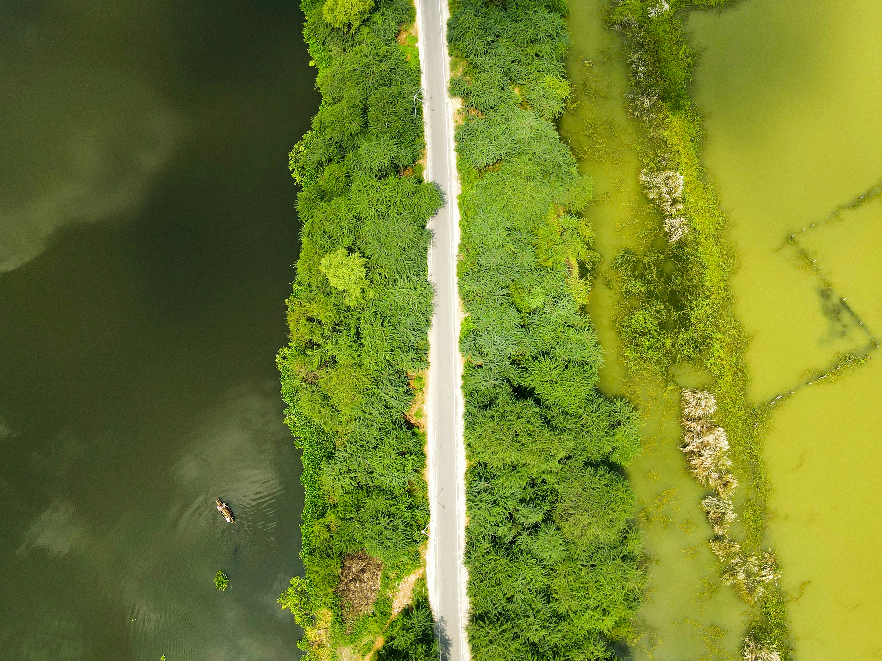 Photo by yogendras31