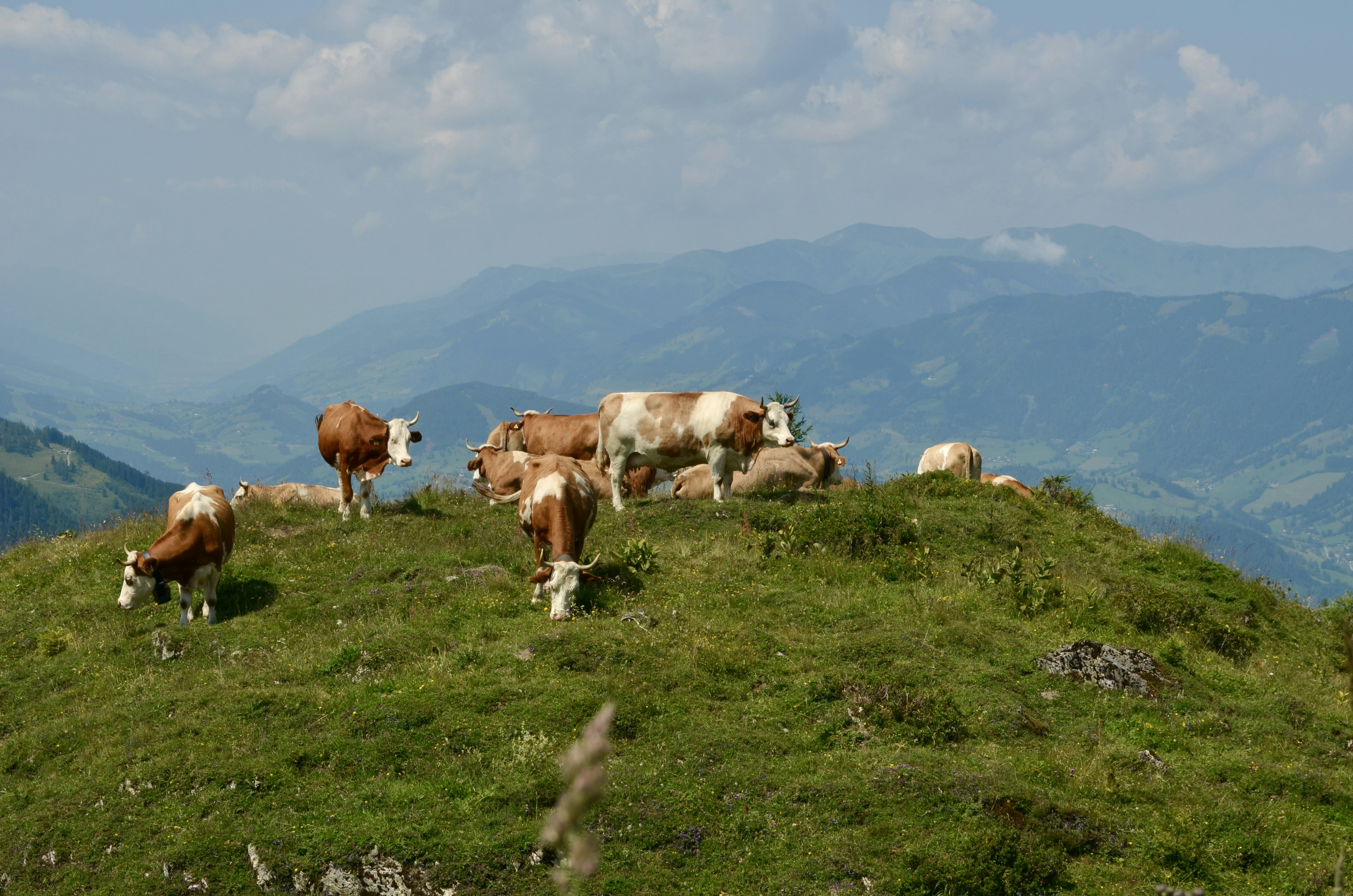 Photo by gonniehoeff