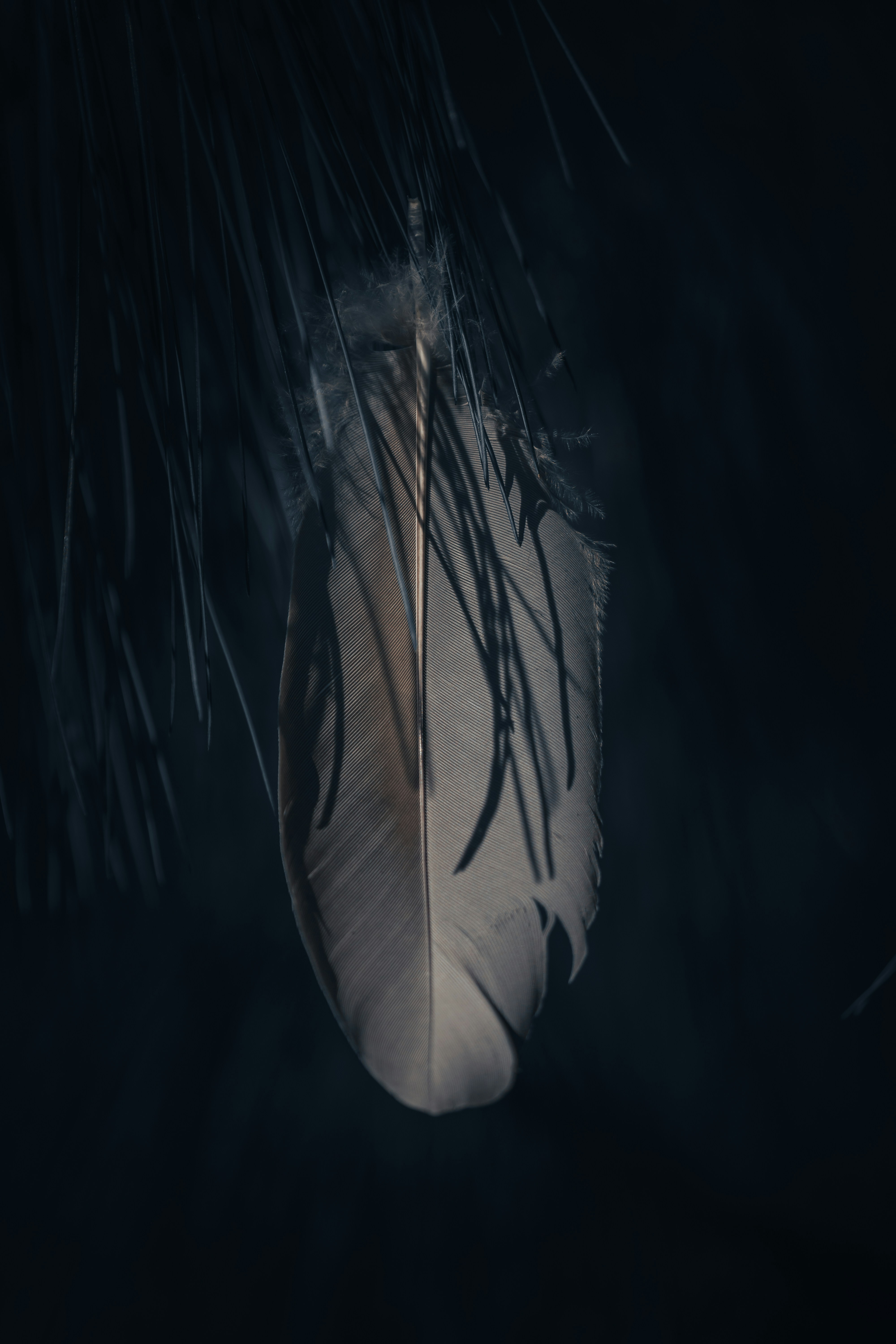 Photo by leandrarieger