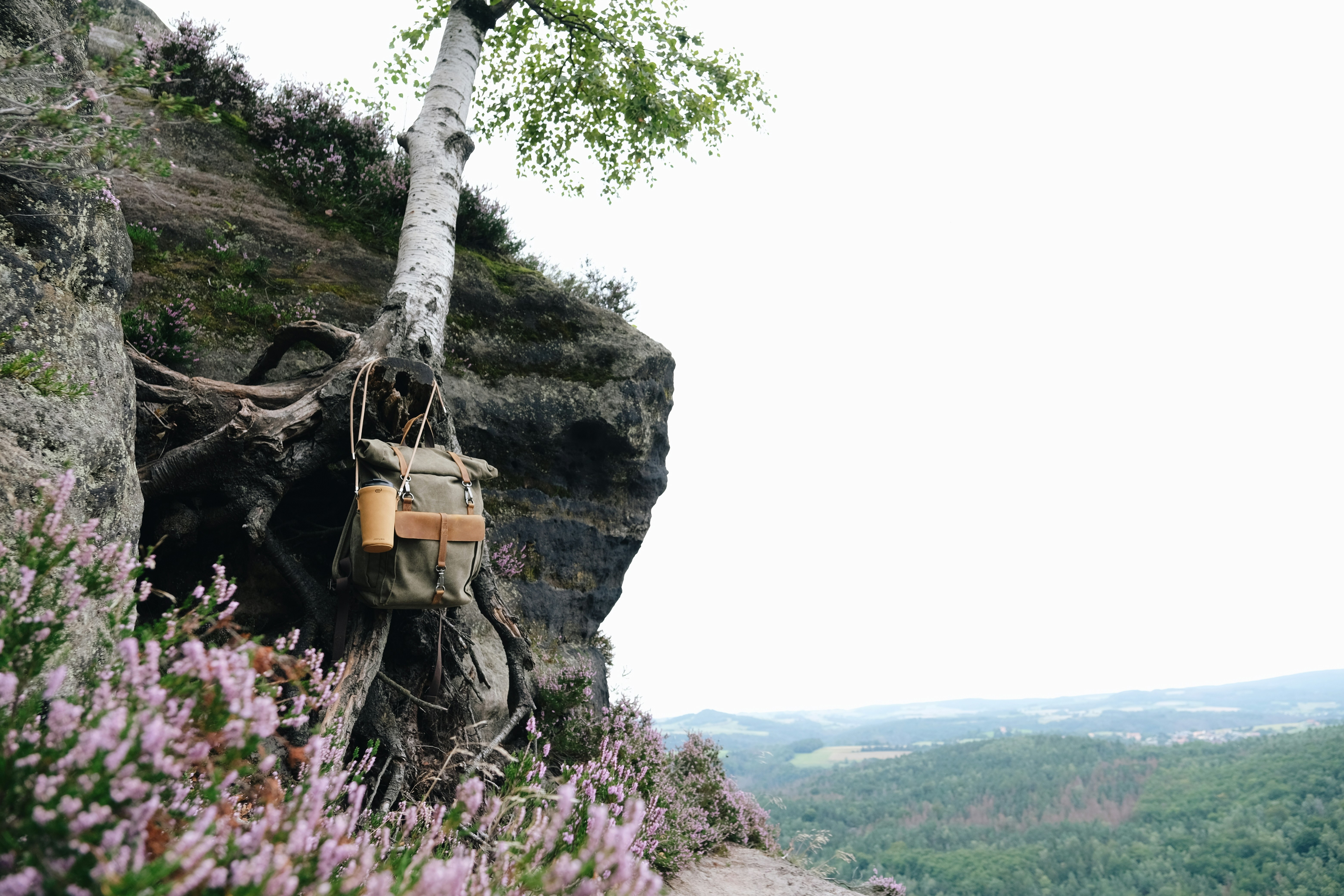 Bag hanging from tree on cliffside