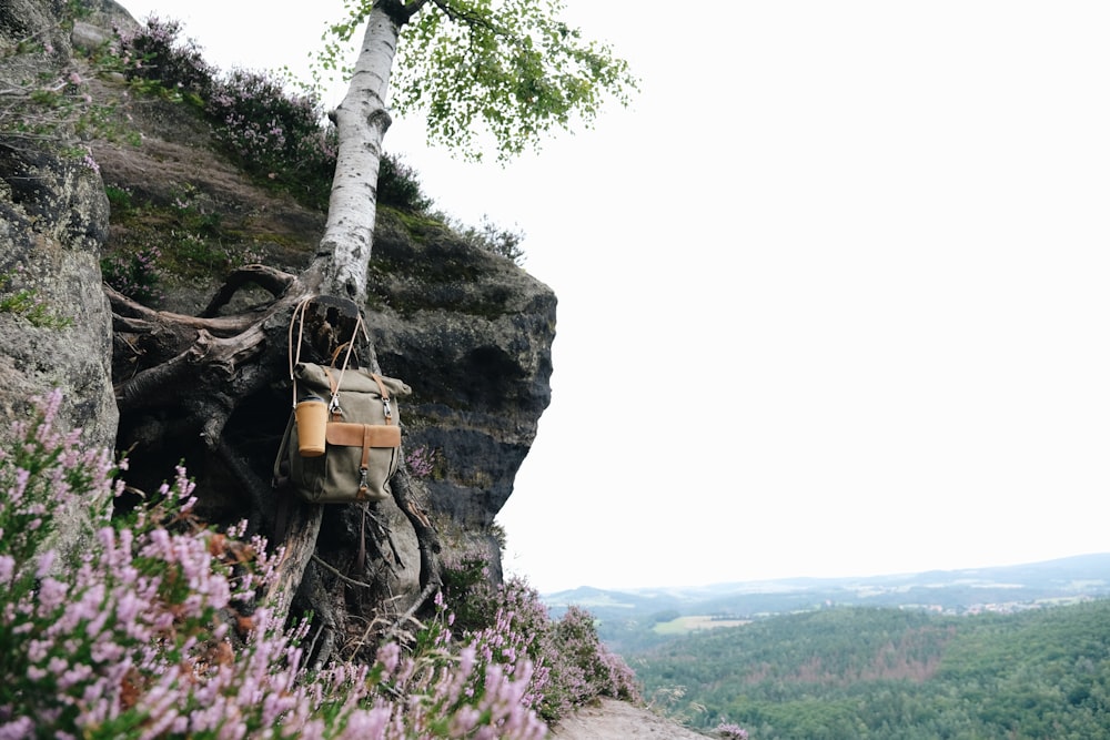 崖の中腹の木からぶら下がっているバッグ