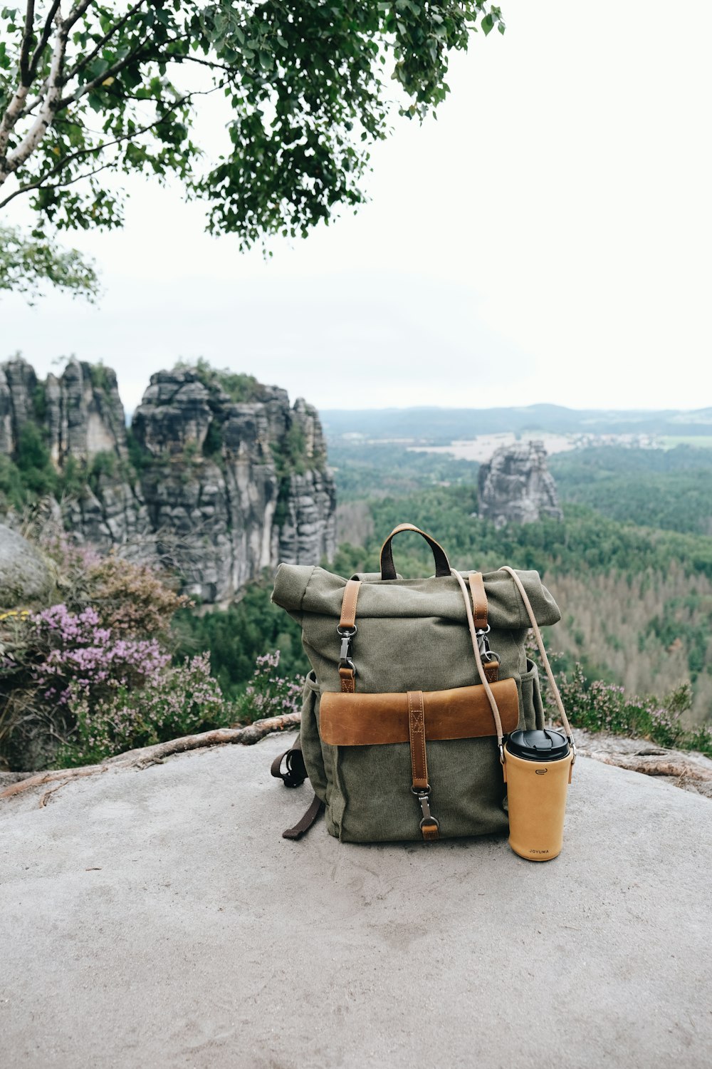 a backpack sitting on top of a rock next to a tree