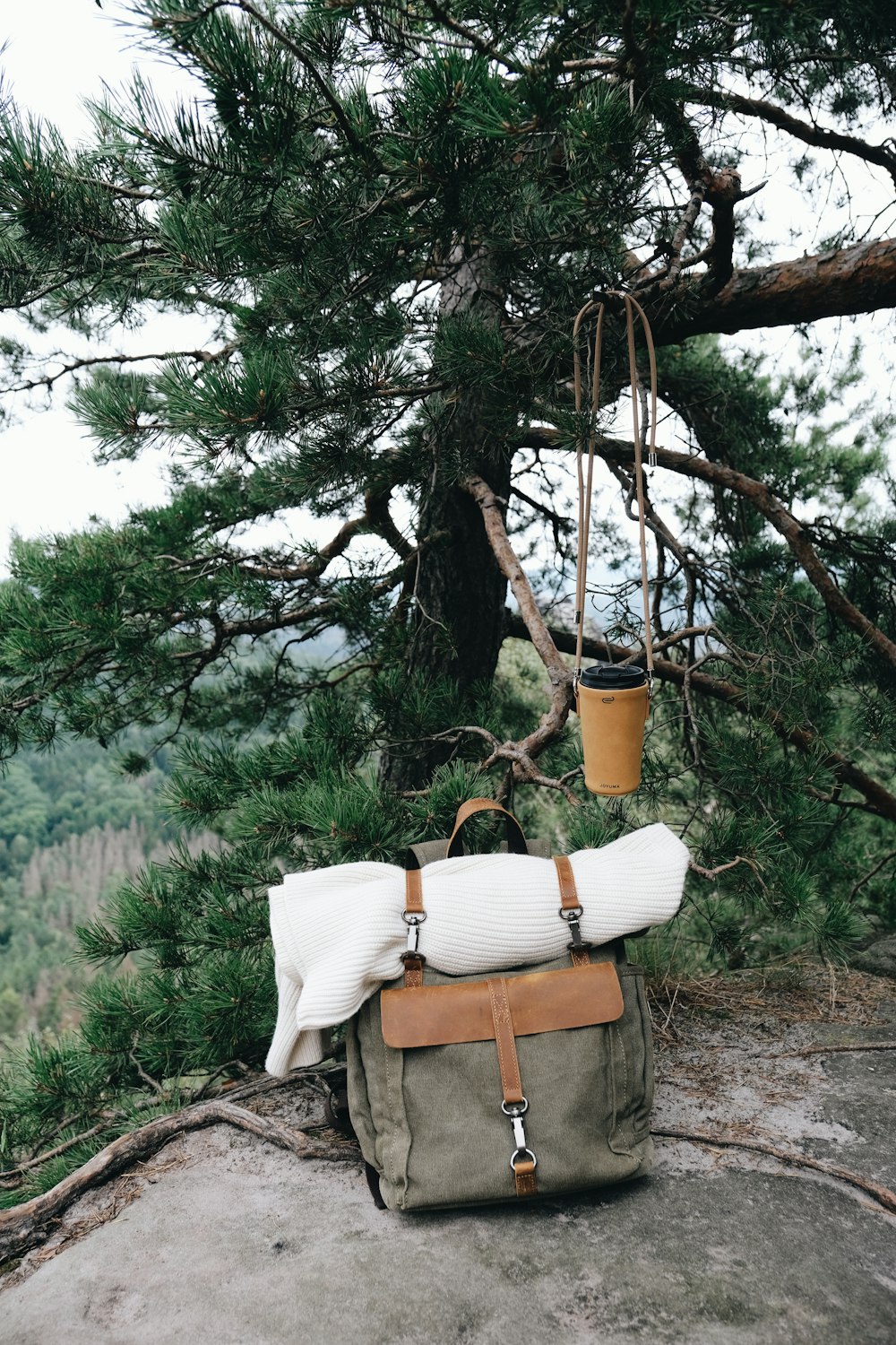 un sac posé au sommet d’un rocher à côté d’un arbre