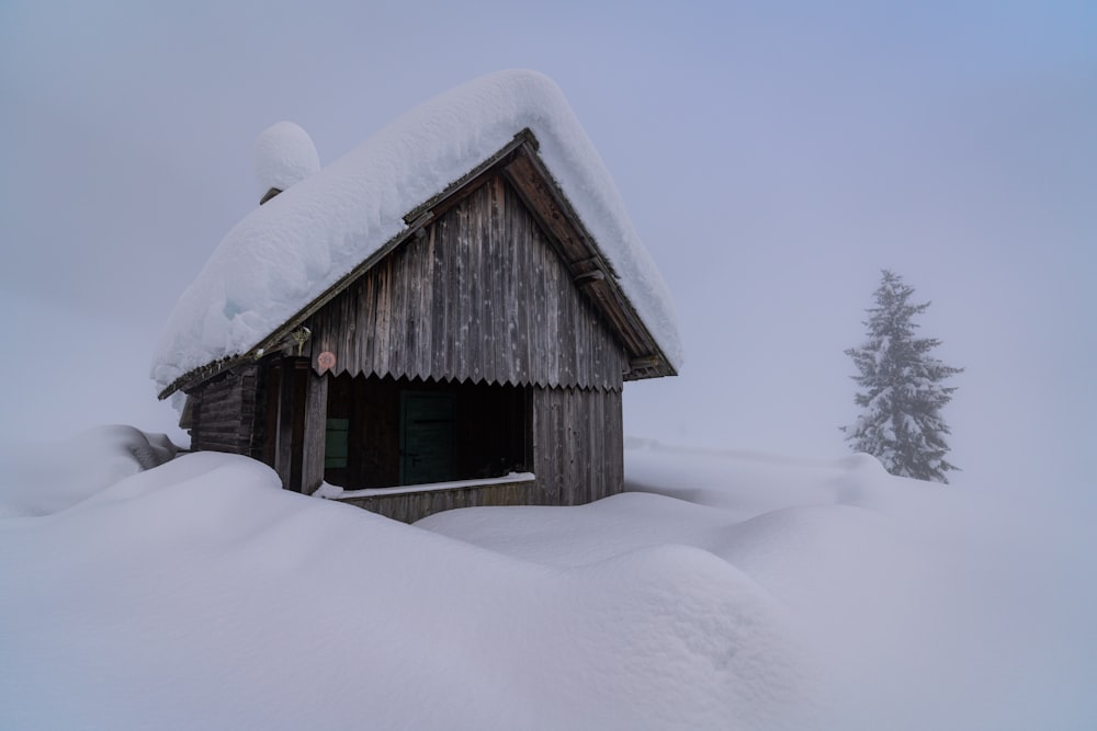 a cabin in the middle of a snowy field