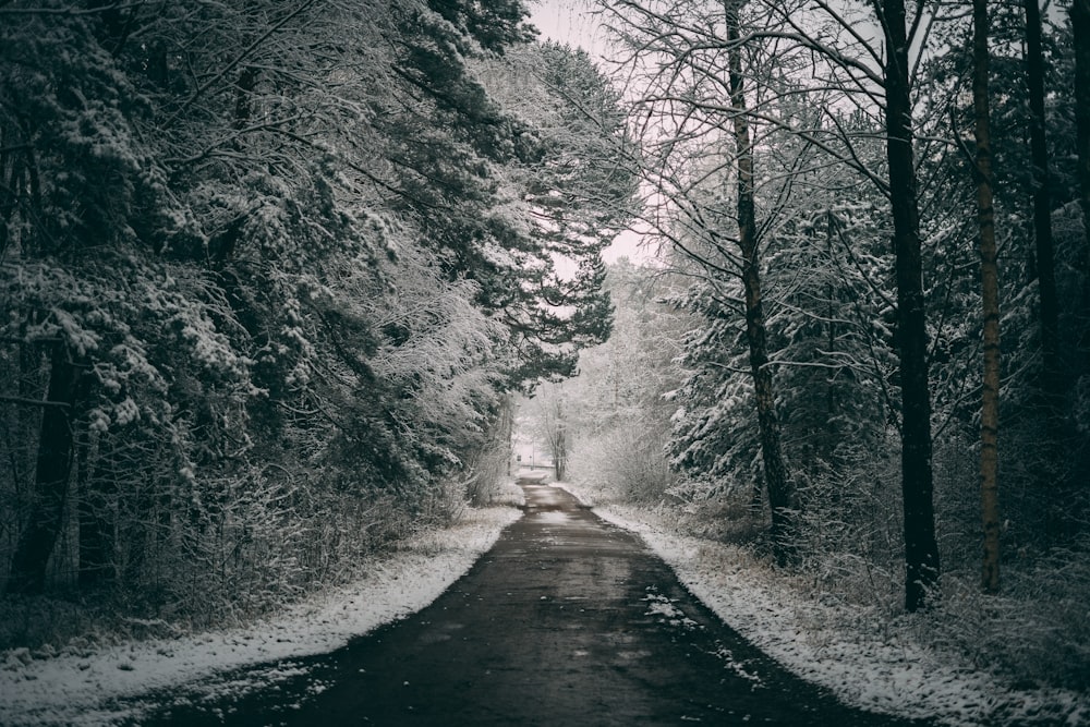 a car driving down a snow covered road