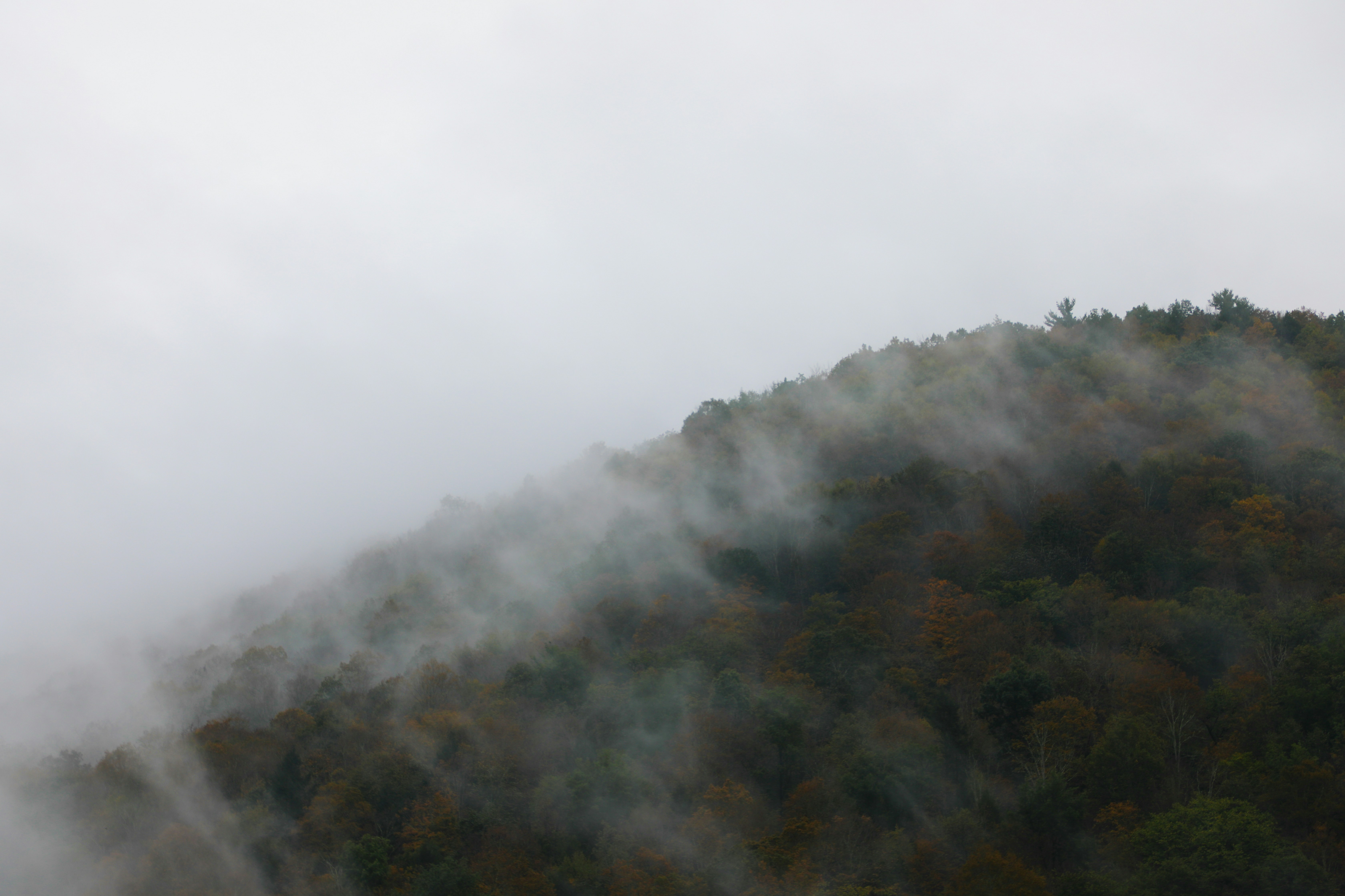 Photo by michaelbweidner