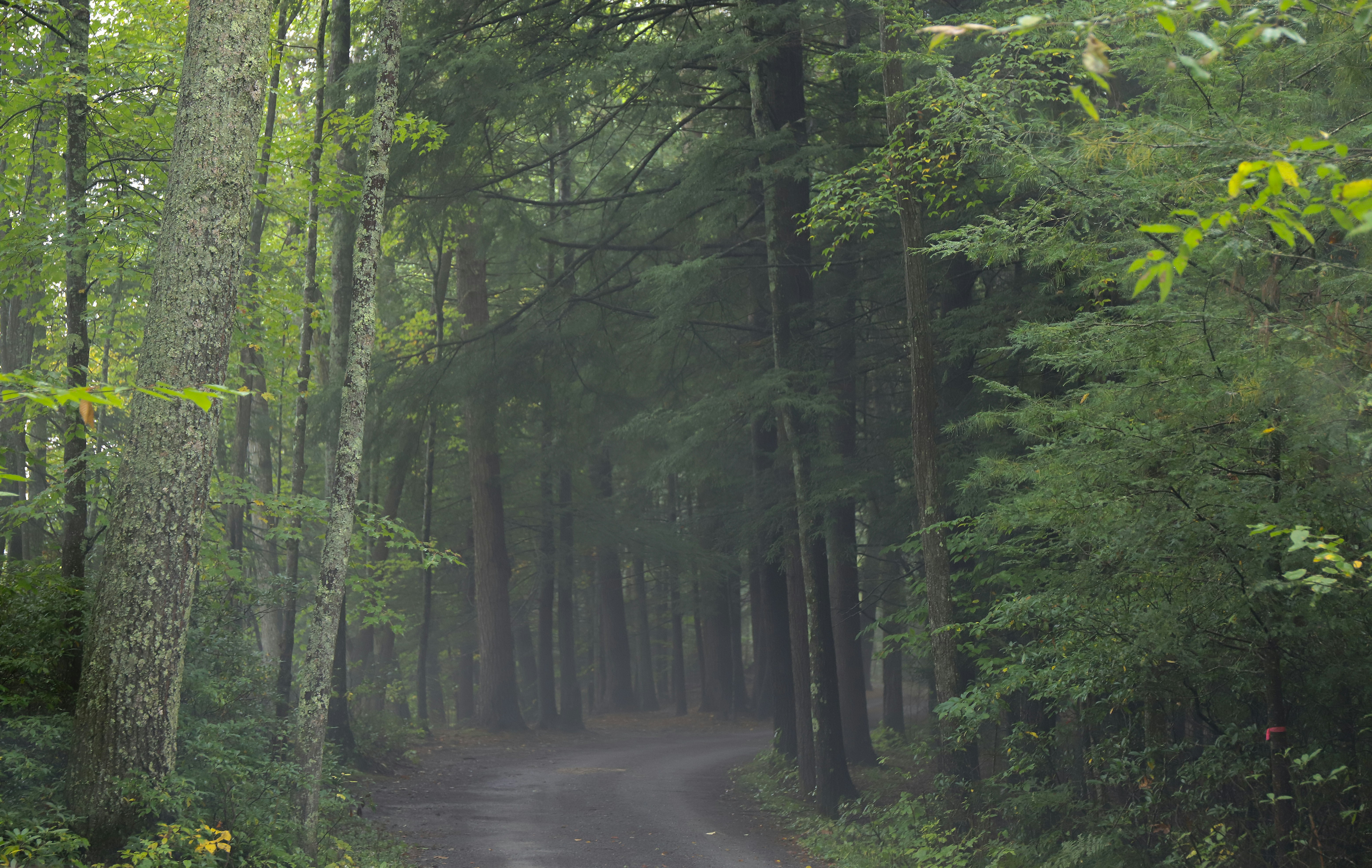 Photo by michaelbweidner