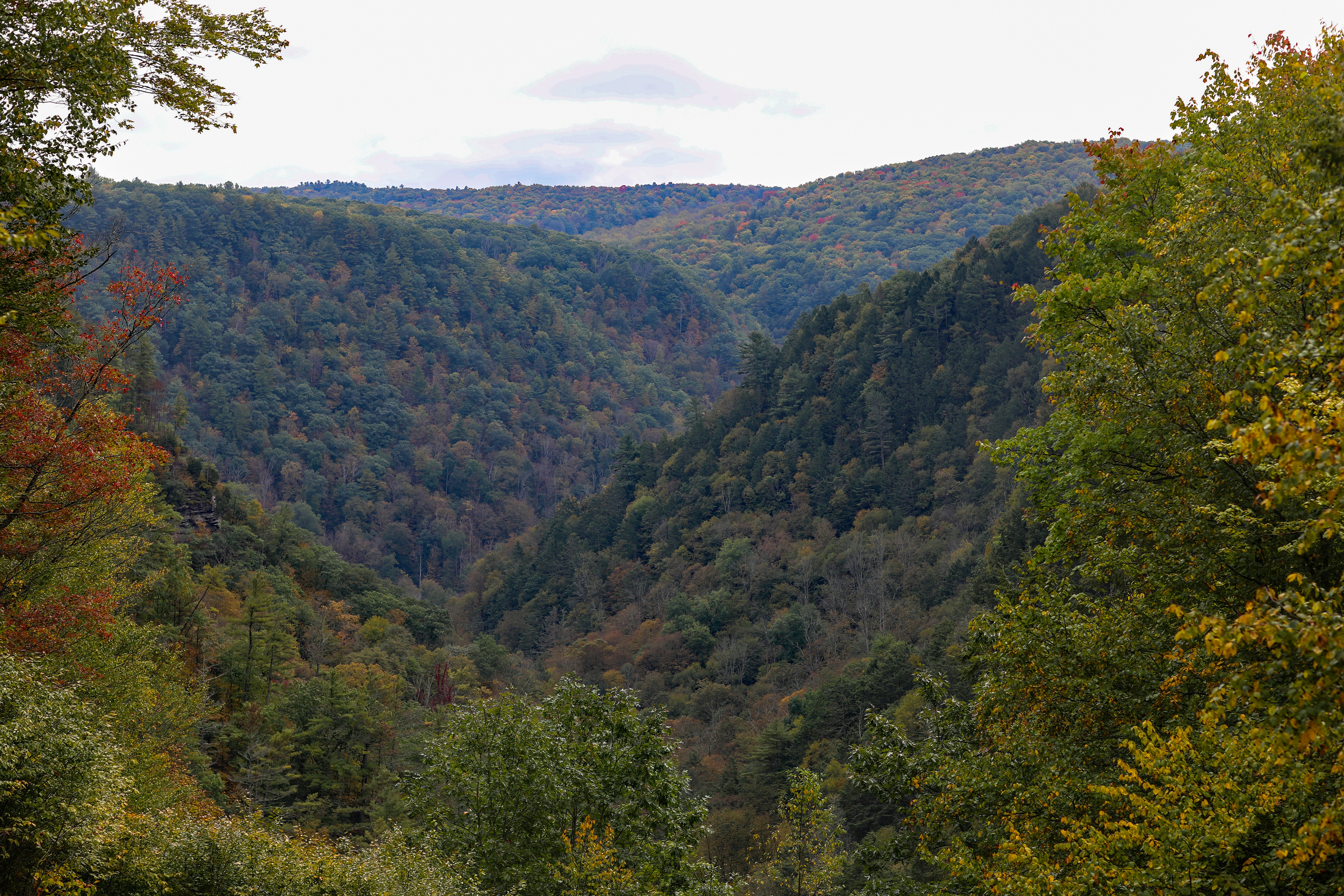 Photo by michaelbweidner