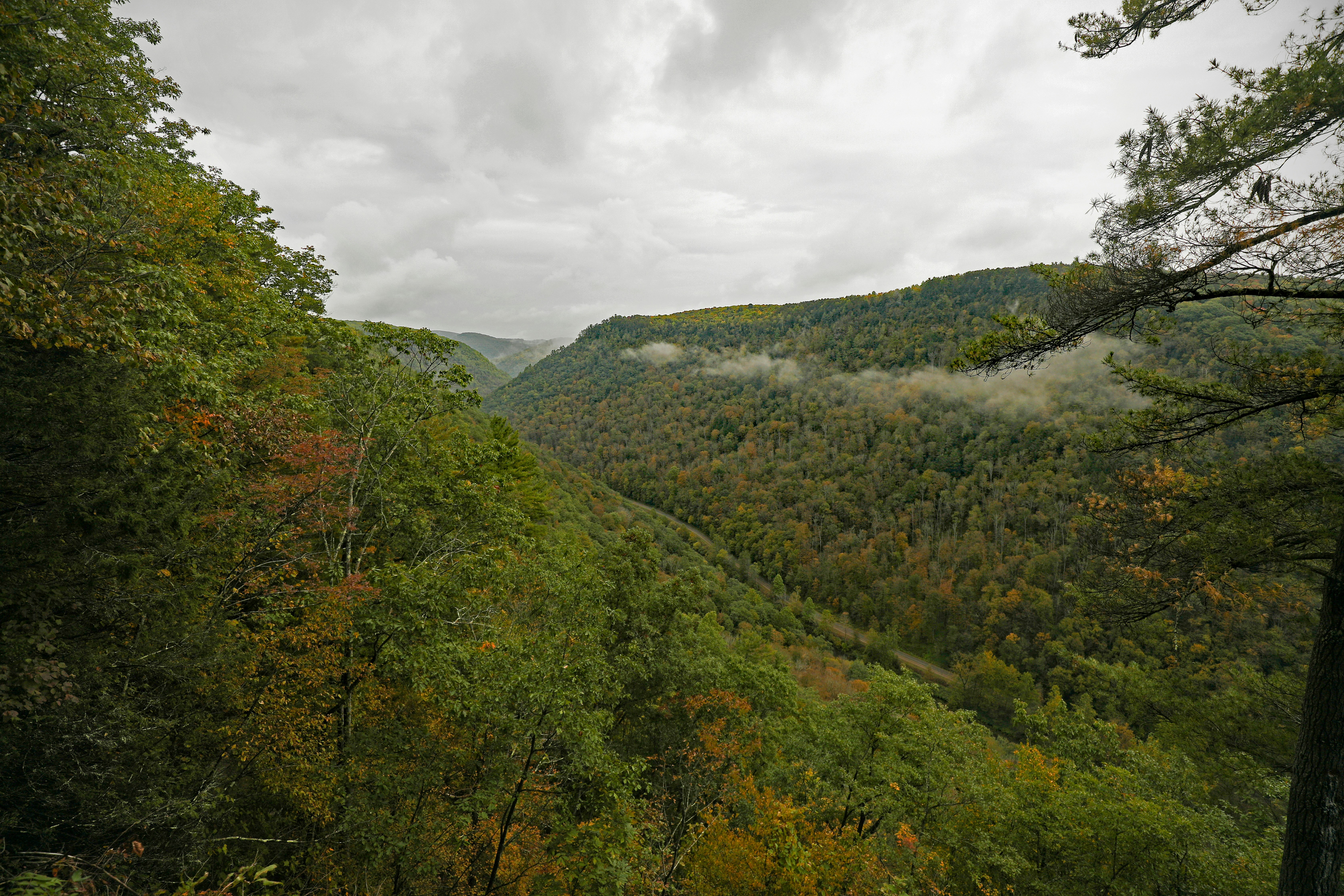 Photo by michaelbweidner