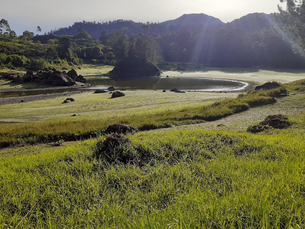 a grassy field with a lake and mountains in the background