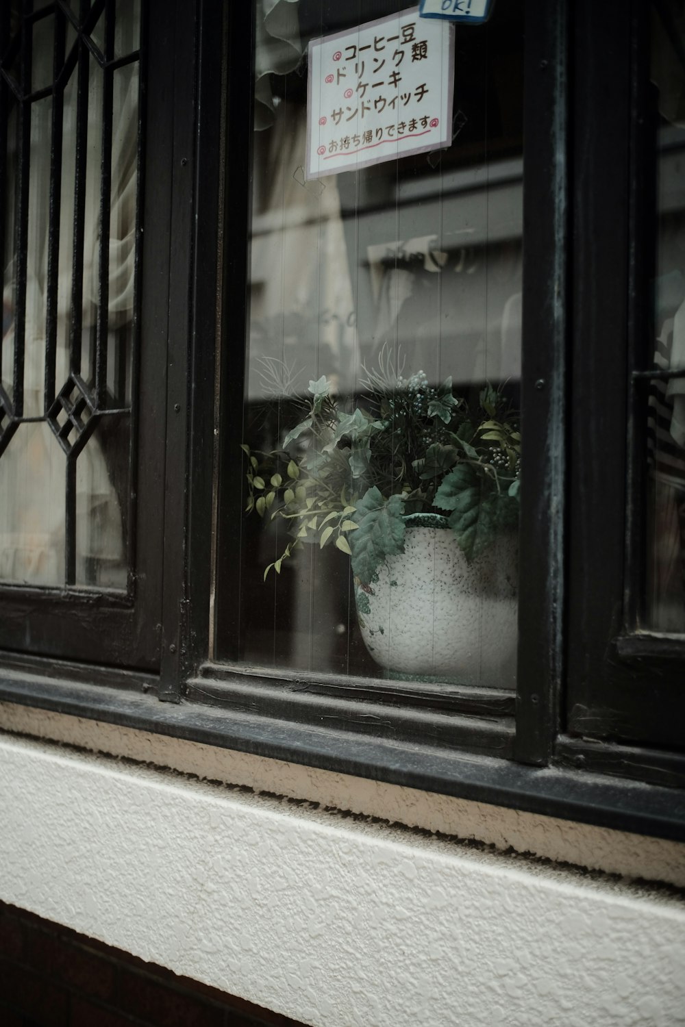 a potted plant sitting in a window sill