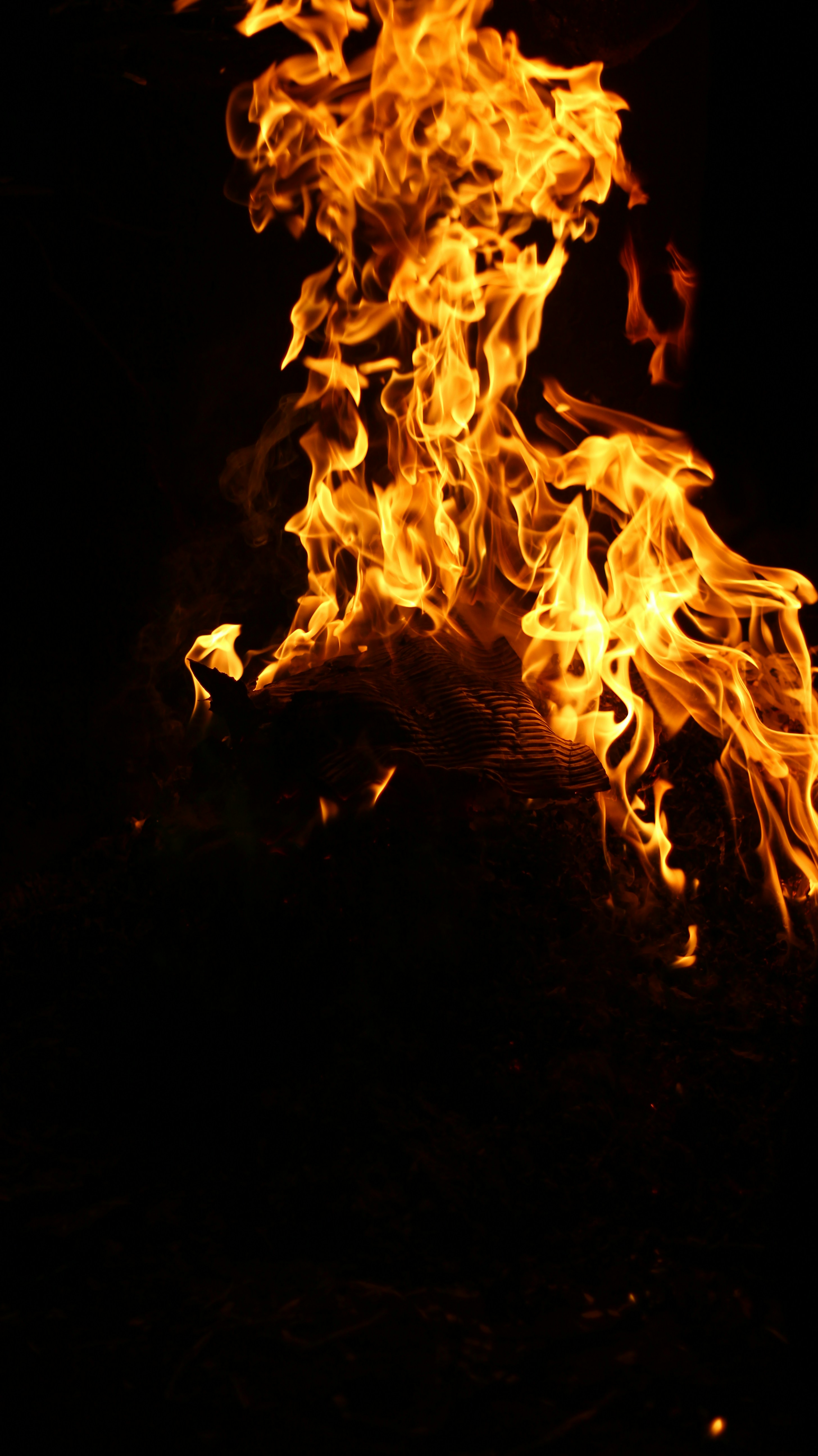 Photo by ethical_moron