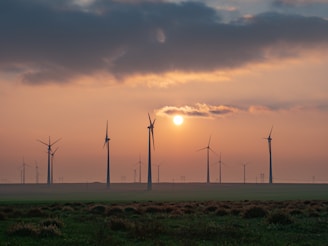 Solar panels and wind turbines in a clean energy field at sunrise.