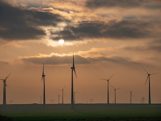 a group of windmills in a field at sunset