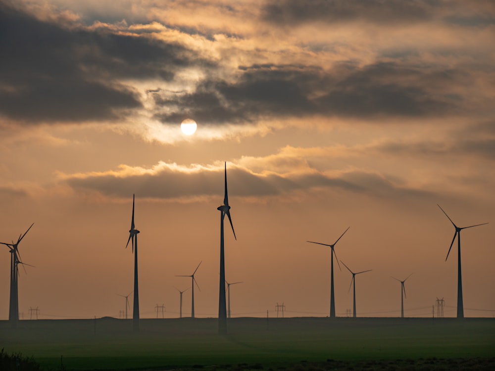 a group of windmills in a field at sunset