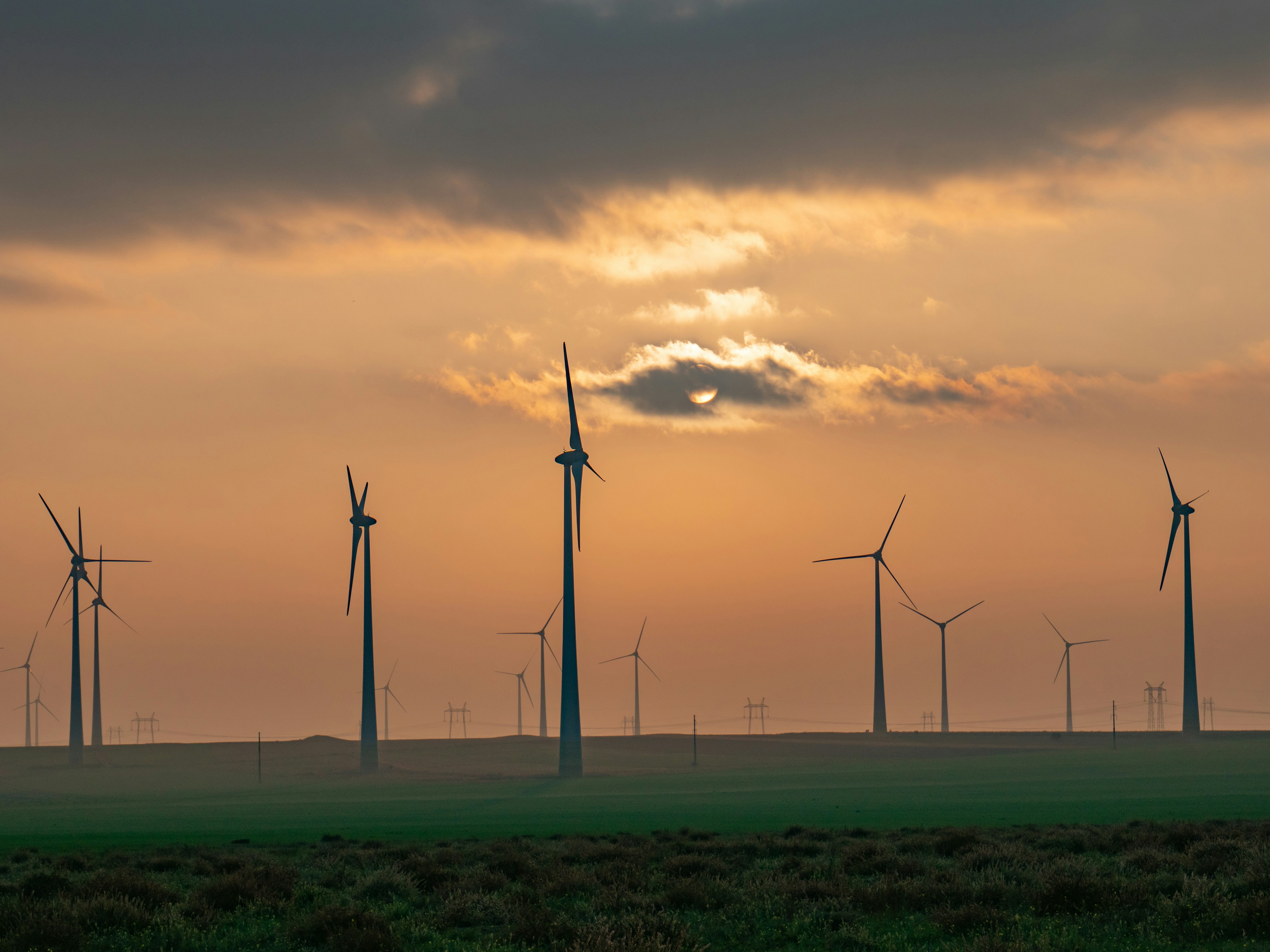 Wind turbines stand across green fields at sunrise.
