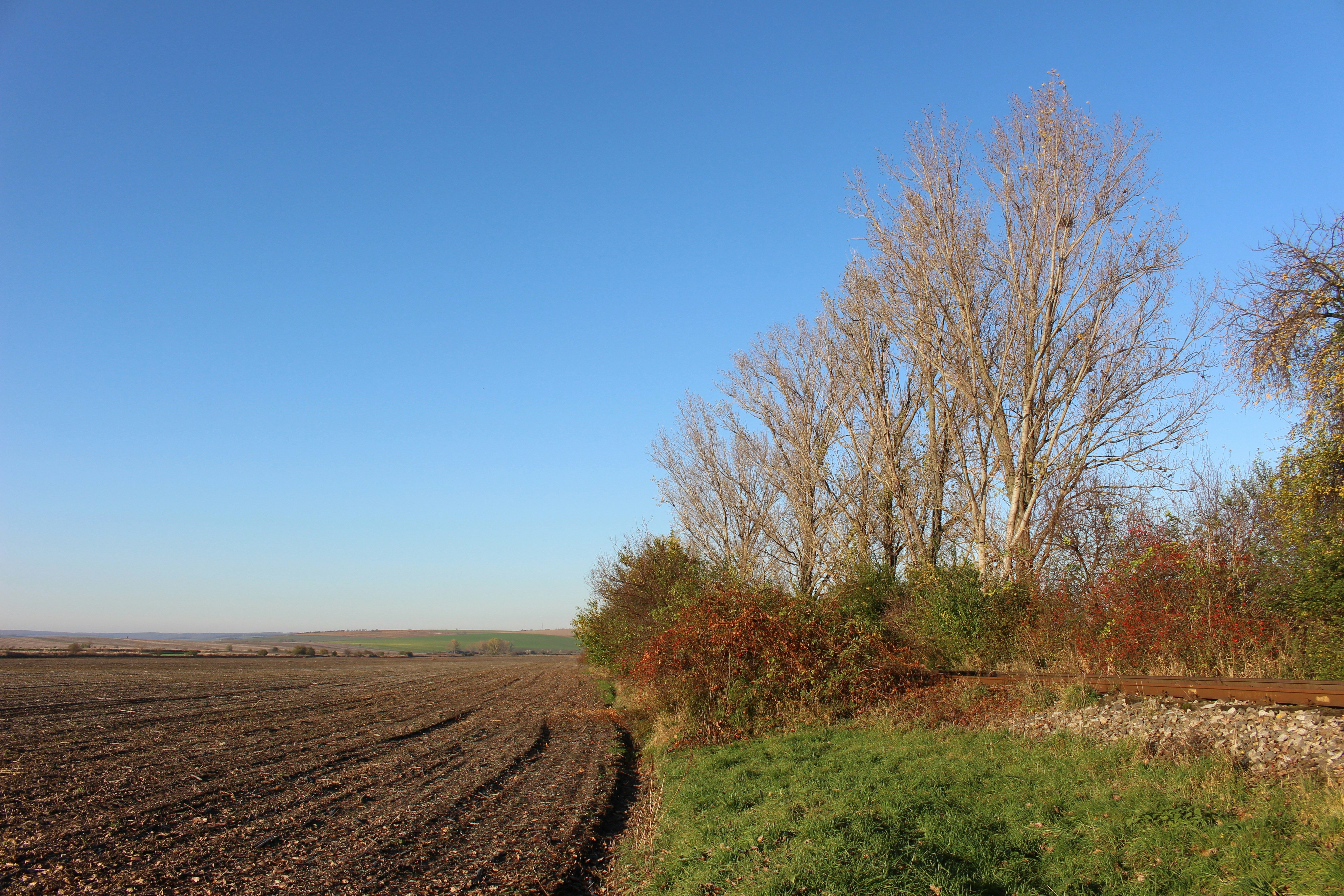 Photo by marjorylucabaxter