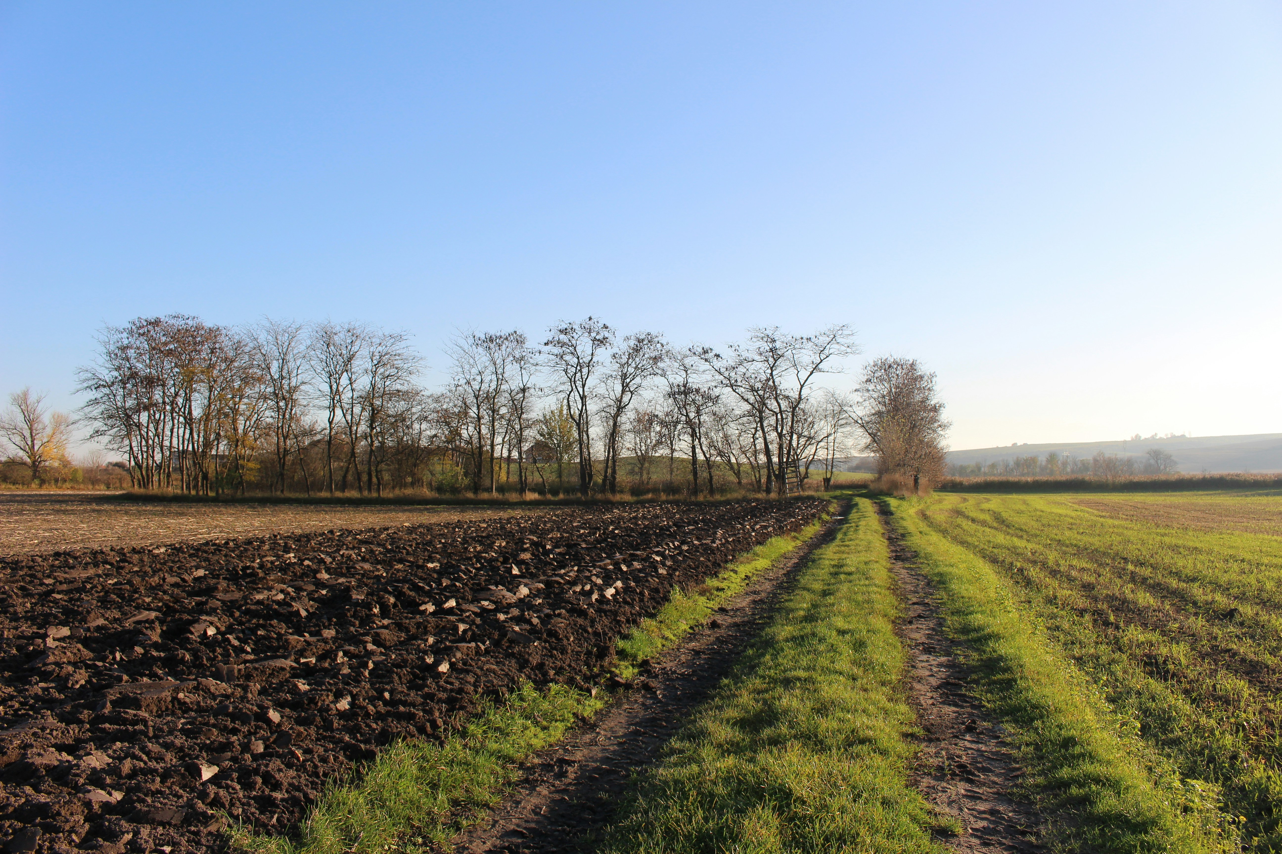 Photo by marjorylucabaxter