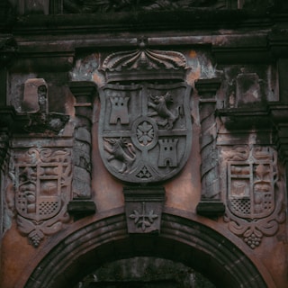 An ornate coat of arms is carved into a stone surface, featuring emblems like towers and animals in a shield-like pattern. The stone appears aged and weathered, with rich textures and intricate detailing around the emblem. The surrounding stonework includes arches and additional decorative elements.