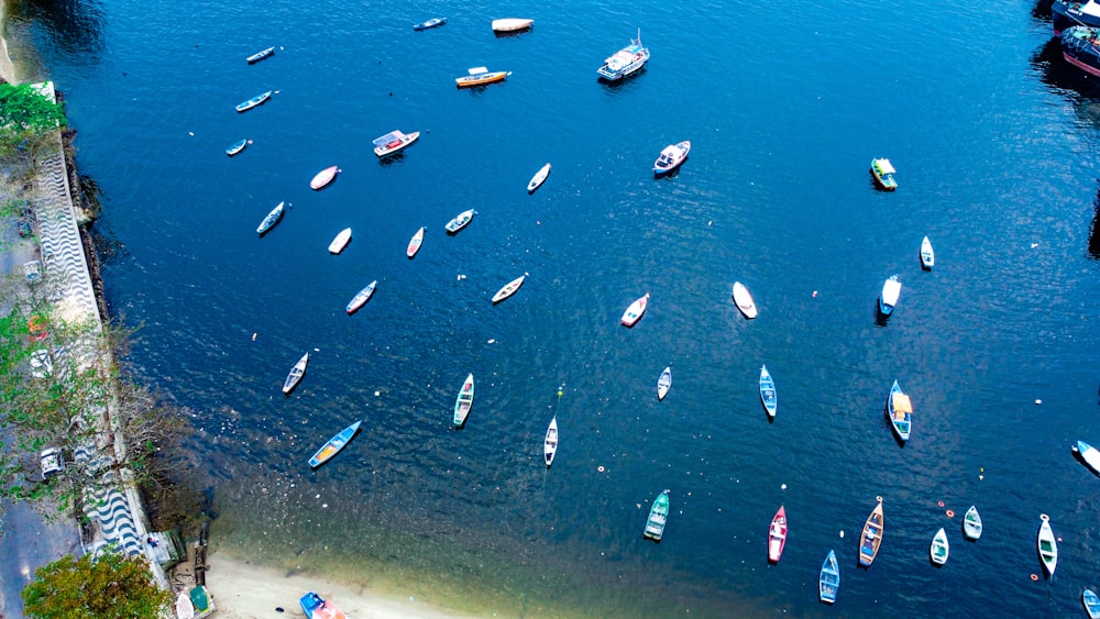 um grupo de barcos flutuando em cima de um corpo de água