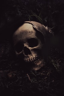 a skull laying on the ground in the dark