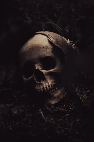 a skull laying on the ground in the dark