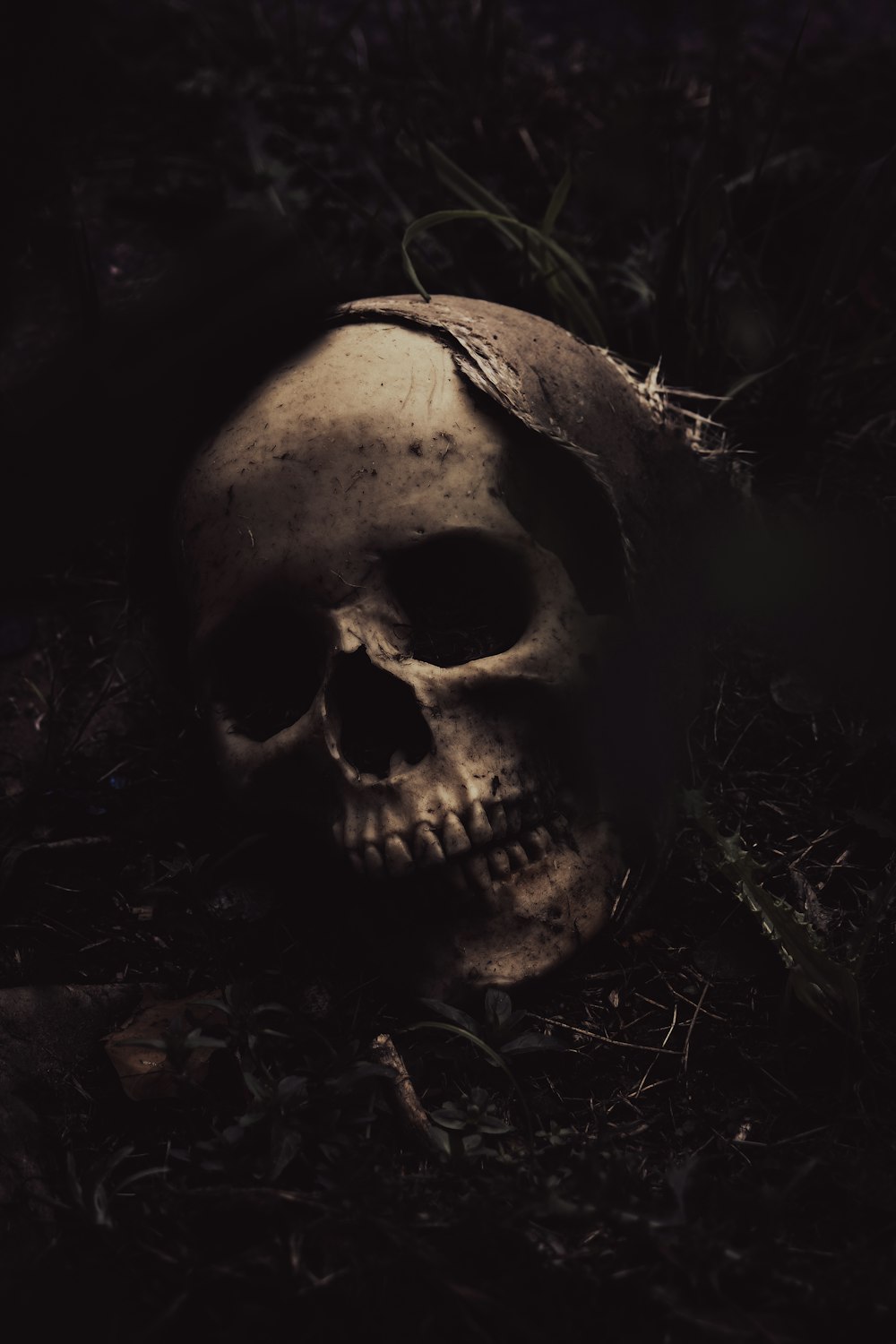 Un cráneo tendido en el suelo en la oscuridad