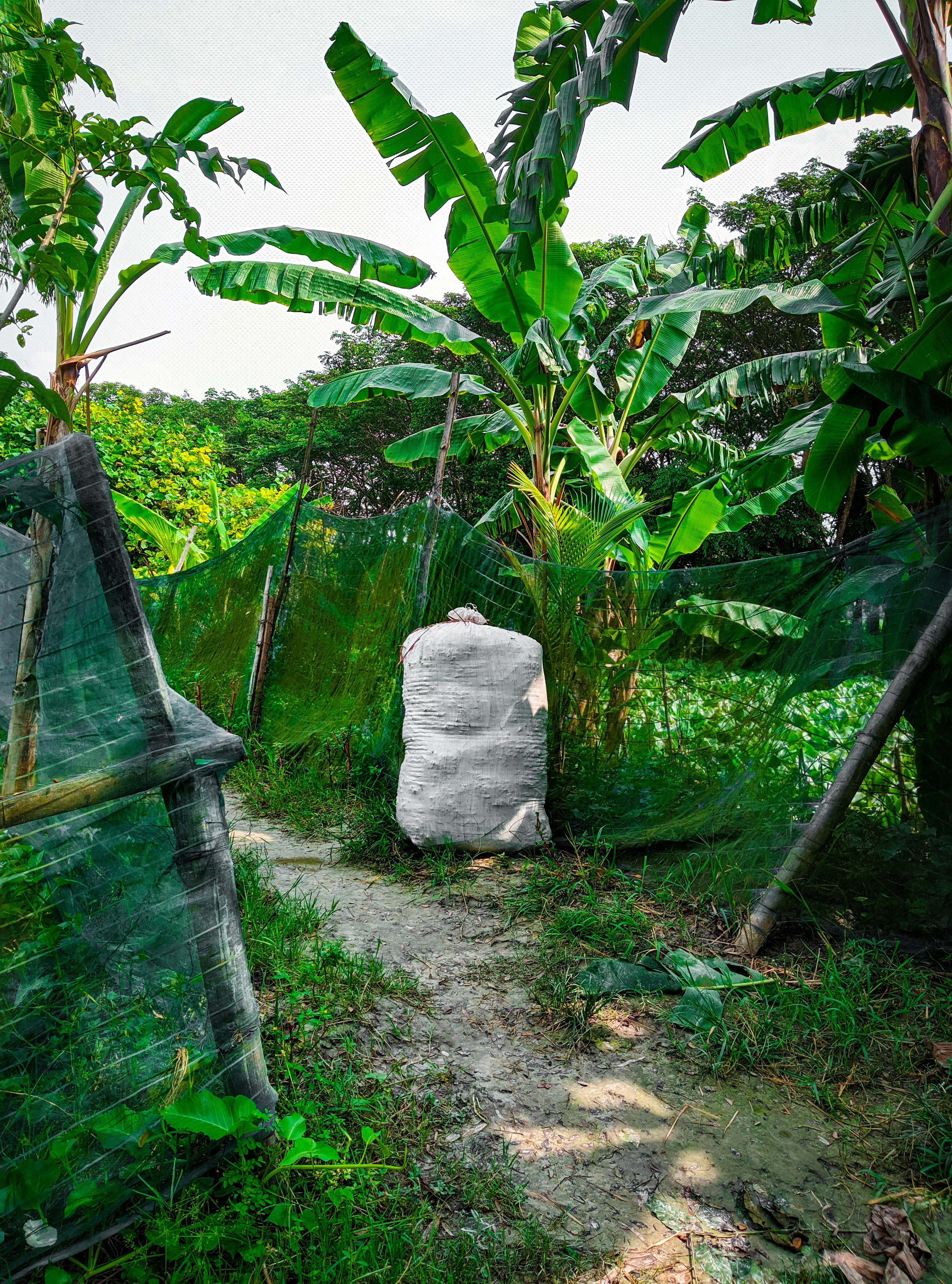 Premium NPK Fertiliser