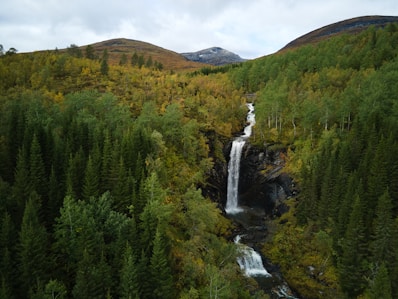 a waterfall in the middle of a forest