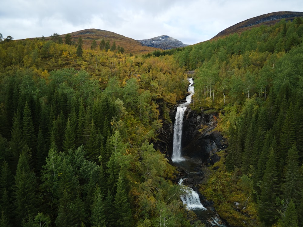 a waterfall in the middle of a forest