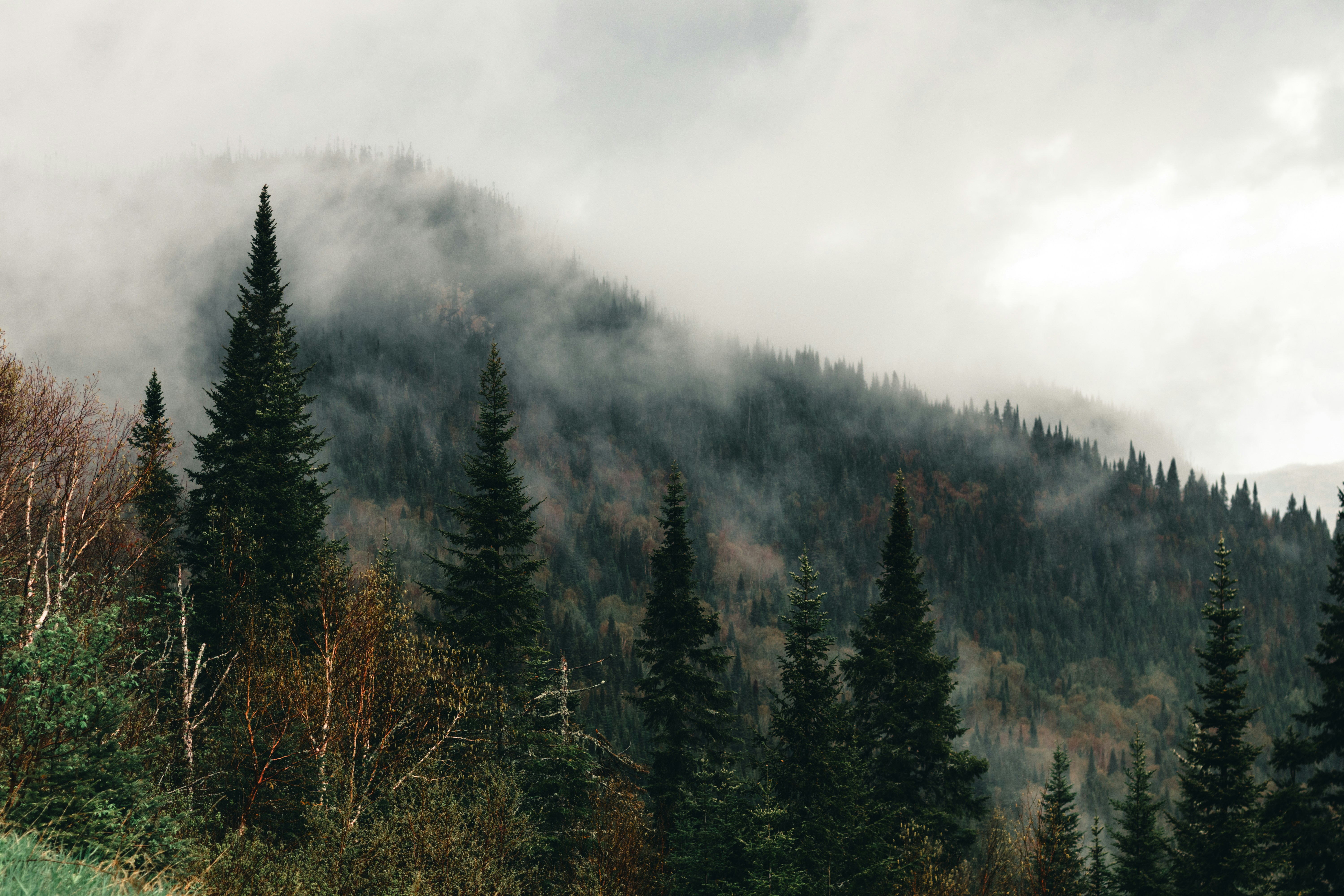 Photo by lureofadventure