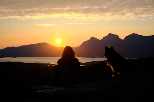 Sunset over mountains with a dog and owner enjoying the view together.