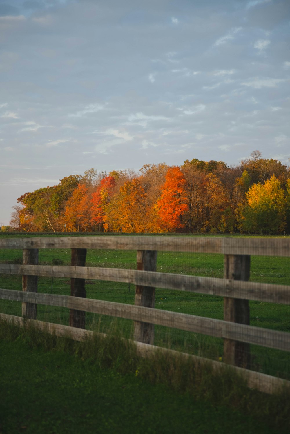 a wooden fence in front of a lush green field