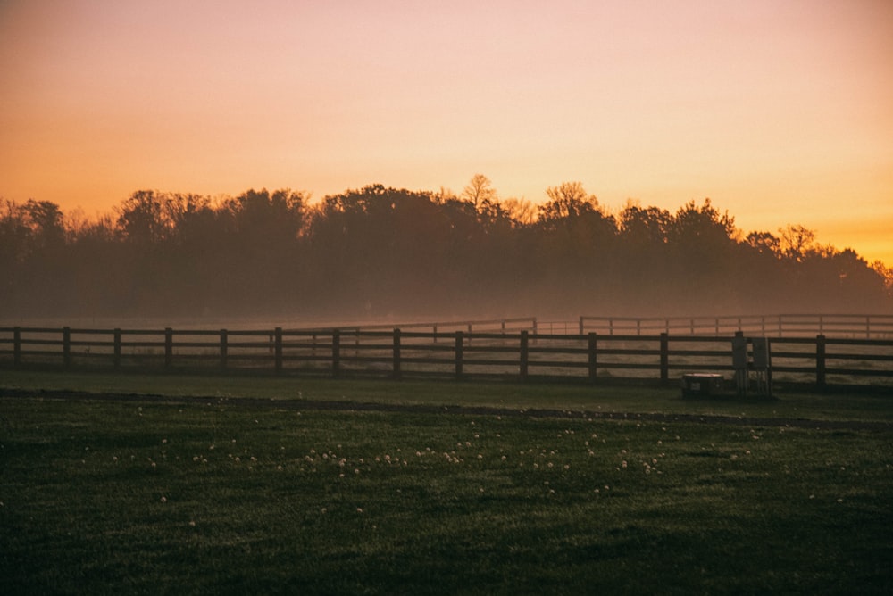 a horse is standing in a fenced in field