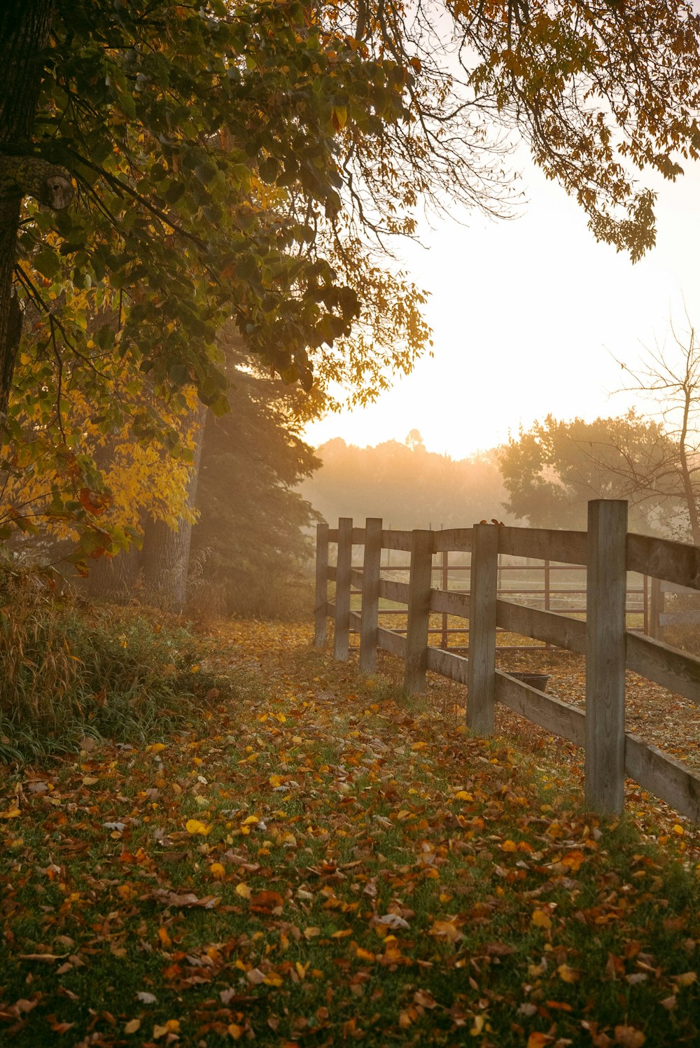 a wooden fence in a field with leaves on the ground
