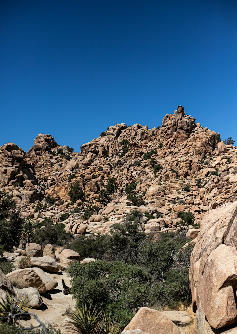 a large rock formation in the middle of a desert