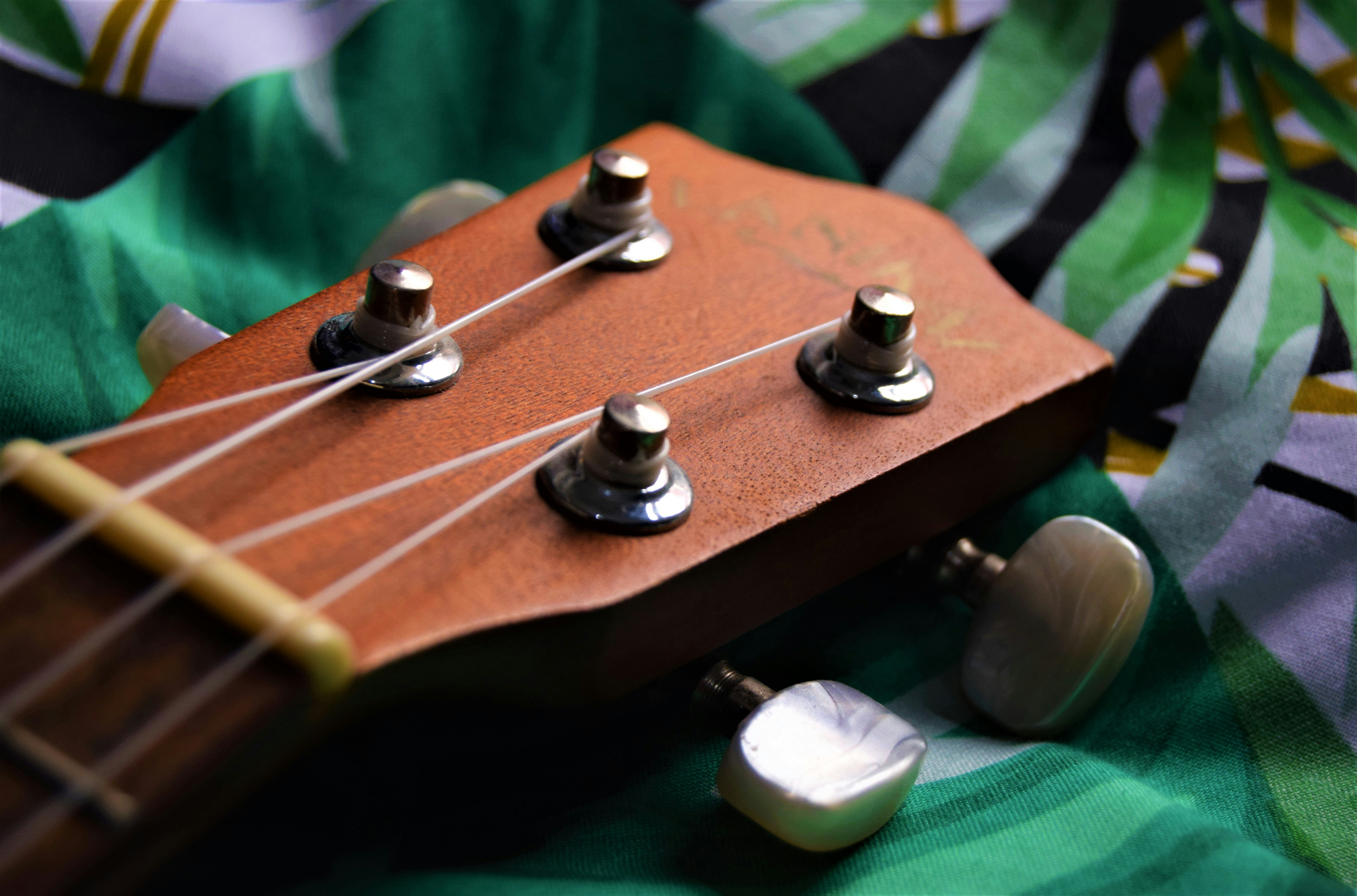 a close up of a guitar neck and strings