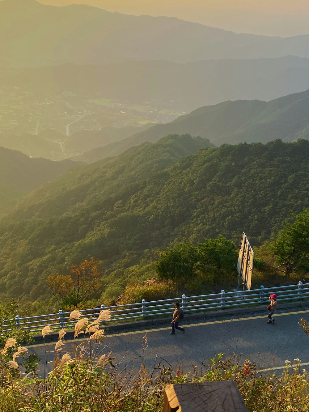 a group of people walking down a road next to a lush green hillside