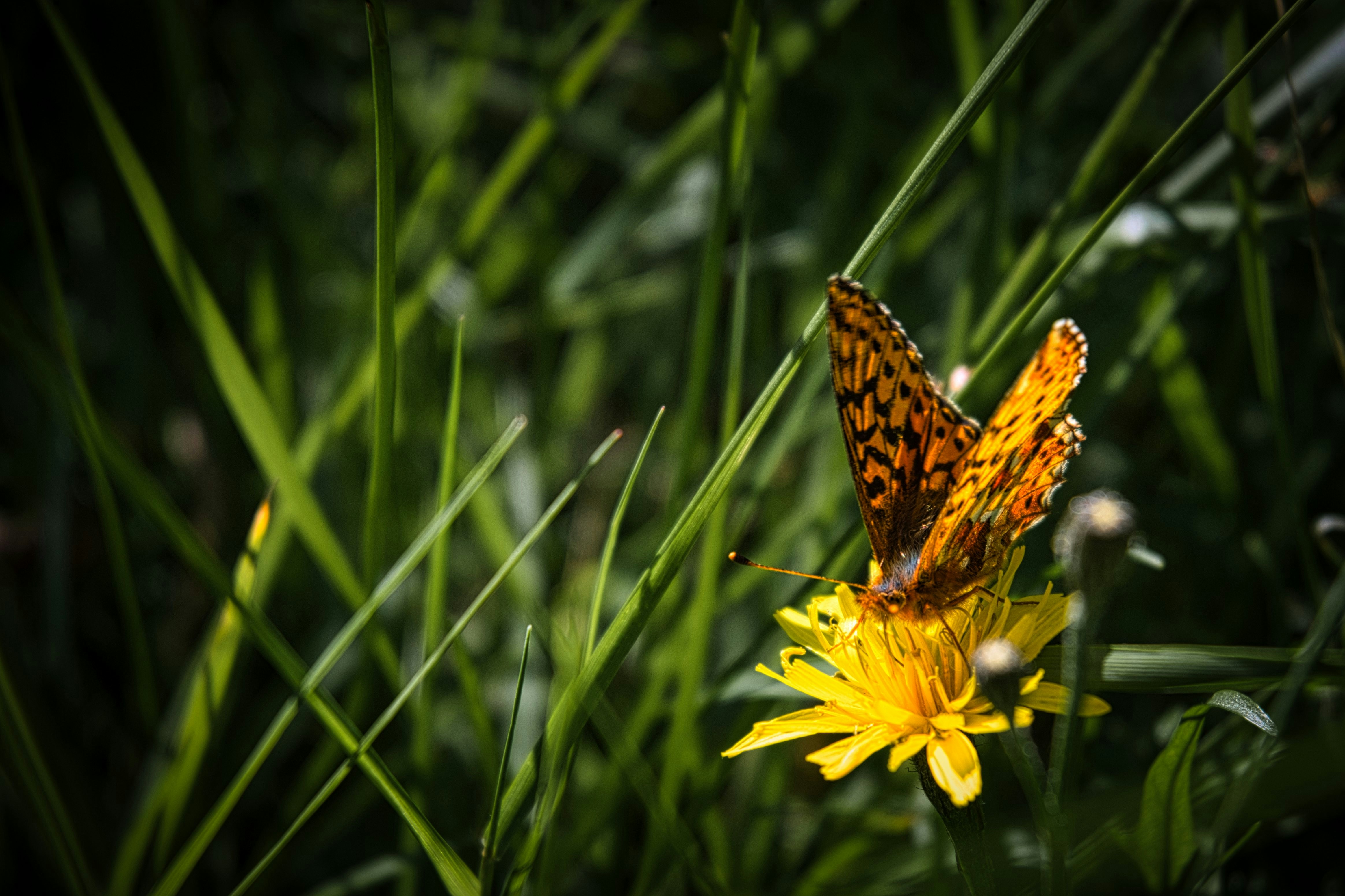 Photo by stighusby