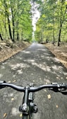 A scenic view of a bicycle path lined with trees.