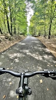 A panoramic view of the Amazon rainforest from a cycling trail.