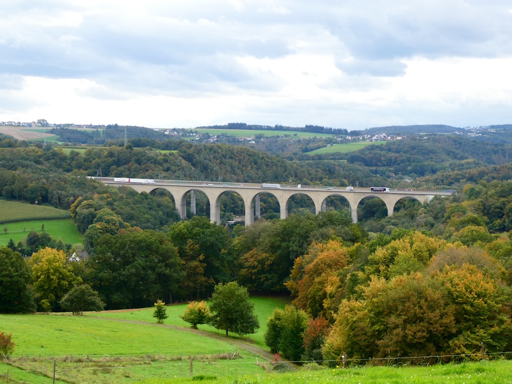 a train on a bridge over a lush green hillside