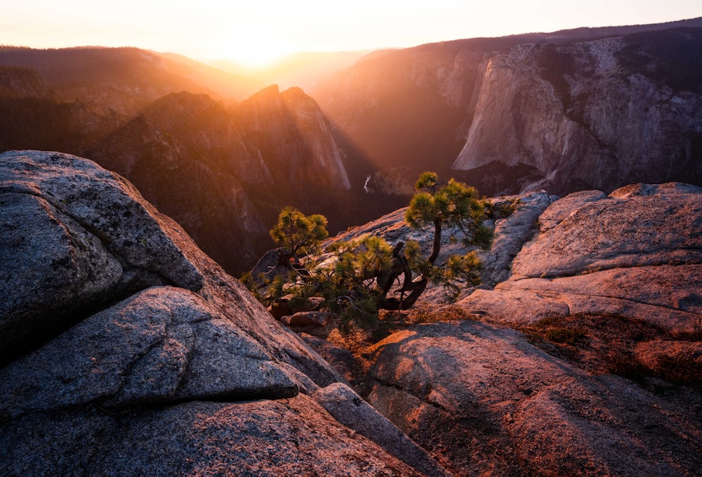 the sun is setting over the mountains and trees