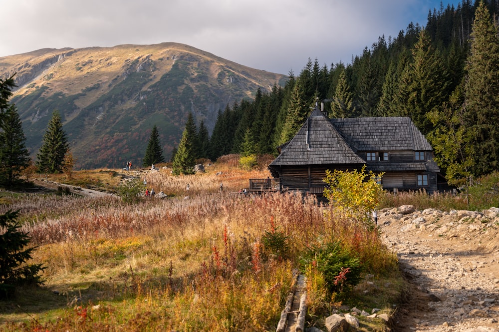 a house in the middle of a forest with a mountain in the background