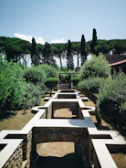 A wide shot of a serene backyard featuring sculpted shrubs and winding stone paths.