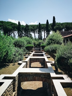 A serene garden scene with neatly trimmed hedges and a series of stone pathways and arches. Tall cypress trees stand in the background against a bright blue sky, adding depth and structure to the tranquil outdoor space.