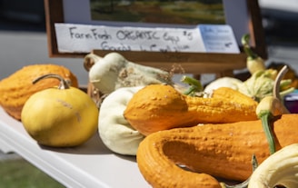 A variety of gourds with different shapes and textures are arranged on a table. The gourds are predominantly yellow and orange, with some white. In the background, there is a sign partially visible that mentions farm-fresh organic eggs.